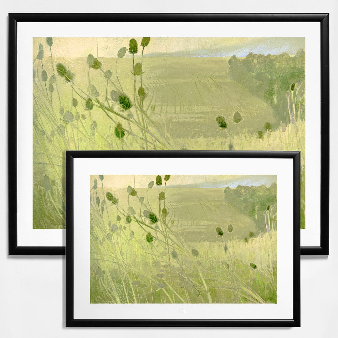 Ester Knapová | Bodliaky