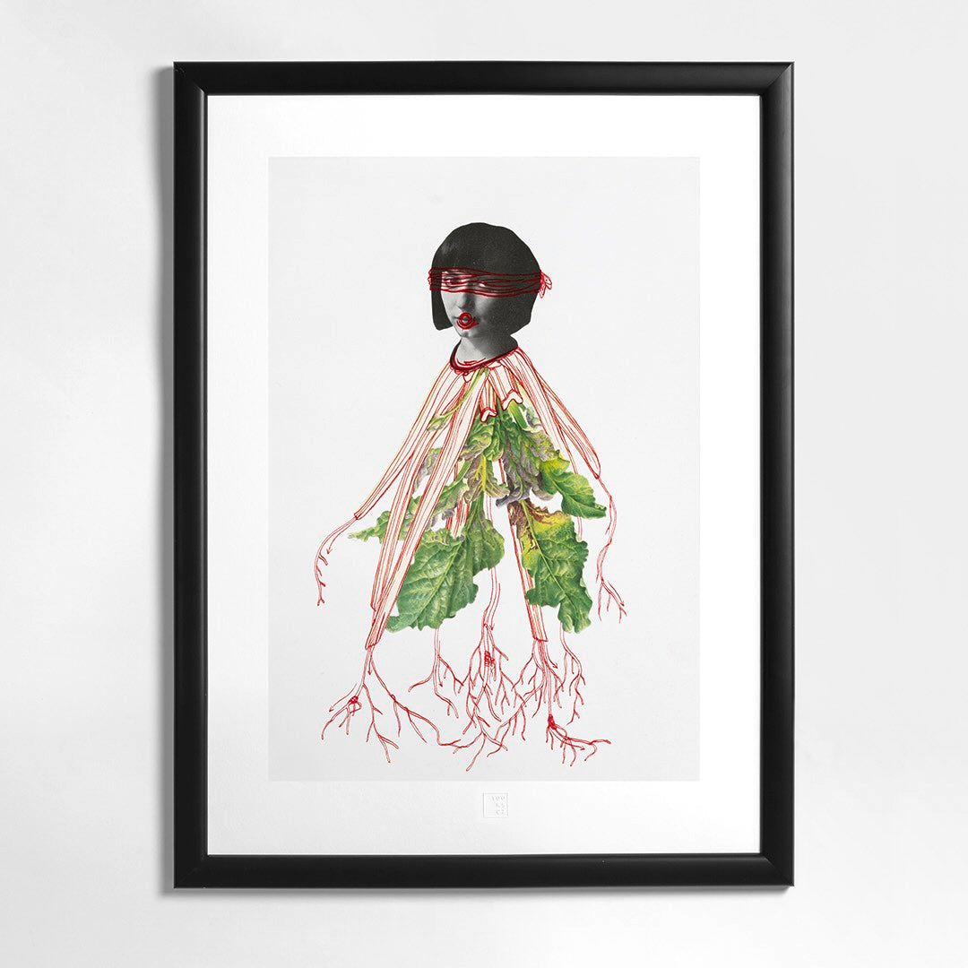 Eva Koťátková | Presadená