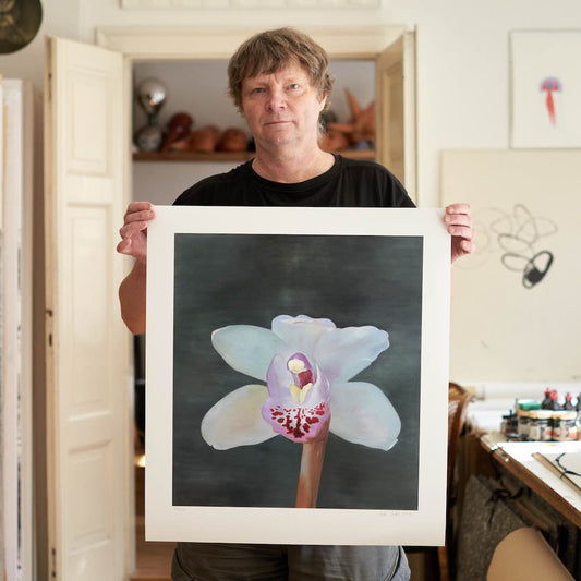 Petr Nikl | Orchidej XIII