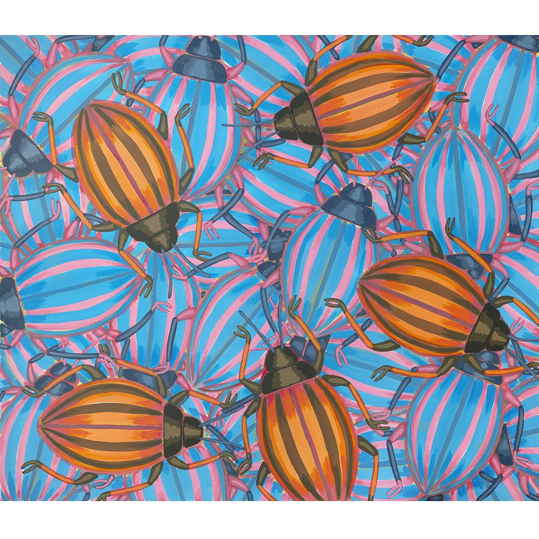 Roman Franta | New Bugs - There are many ways