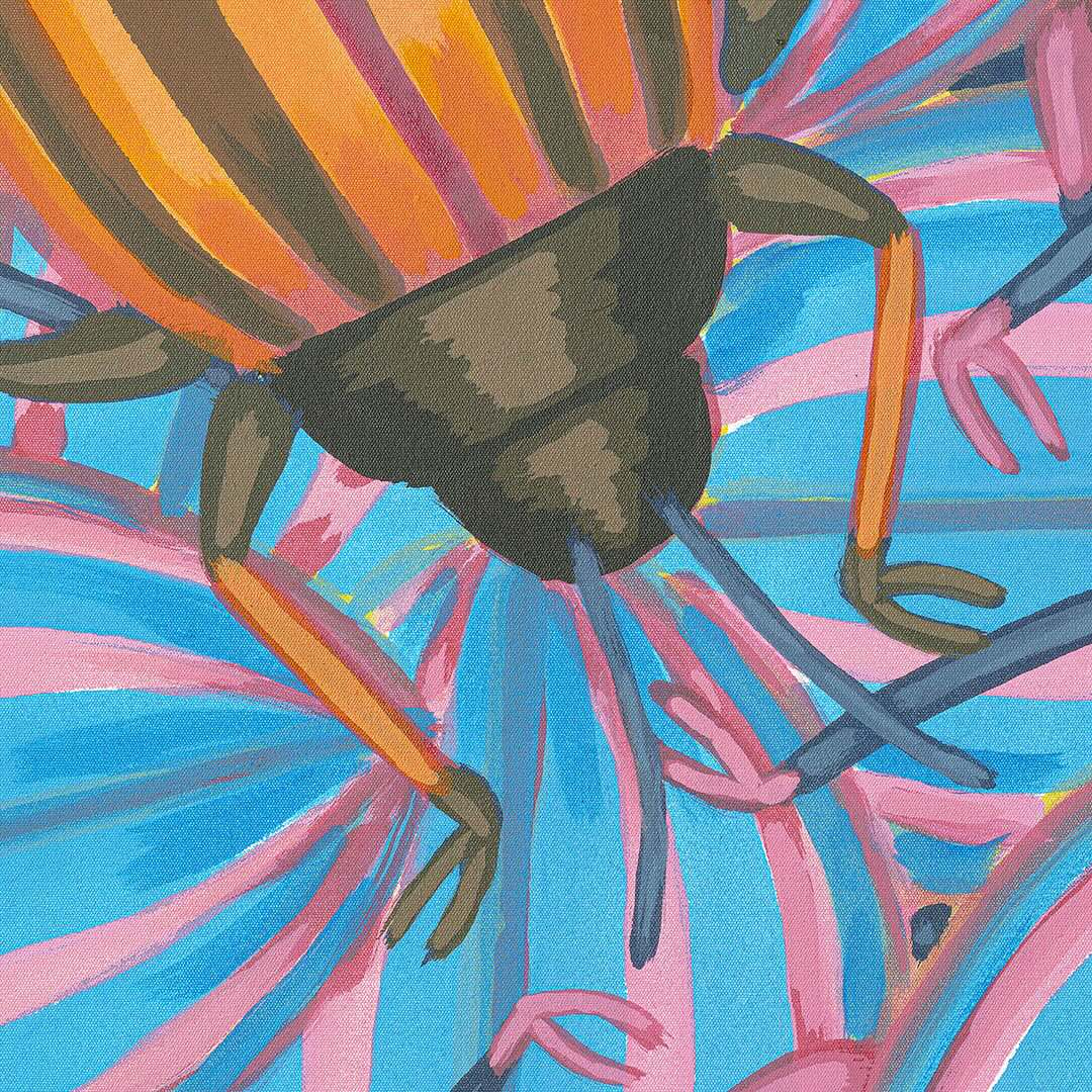 Roman Franta | New Bugs - There are many ways