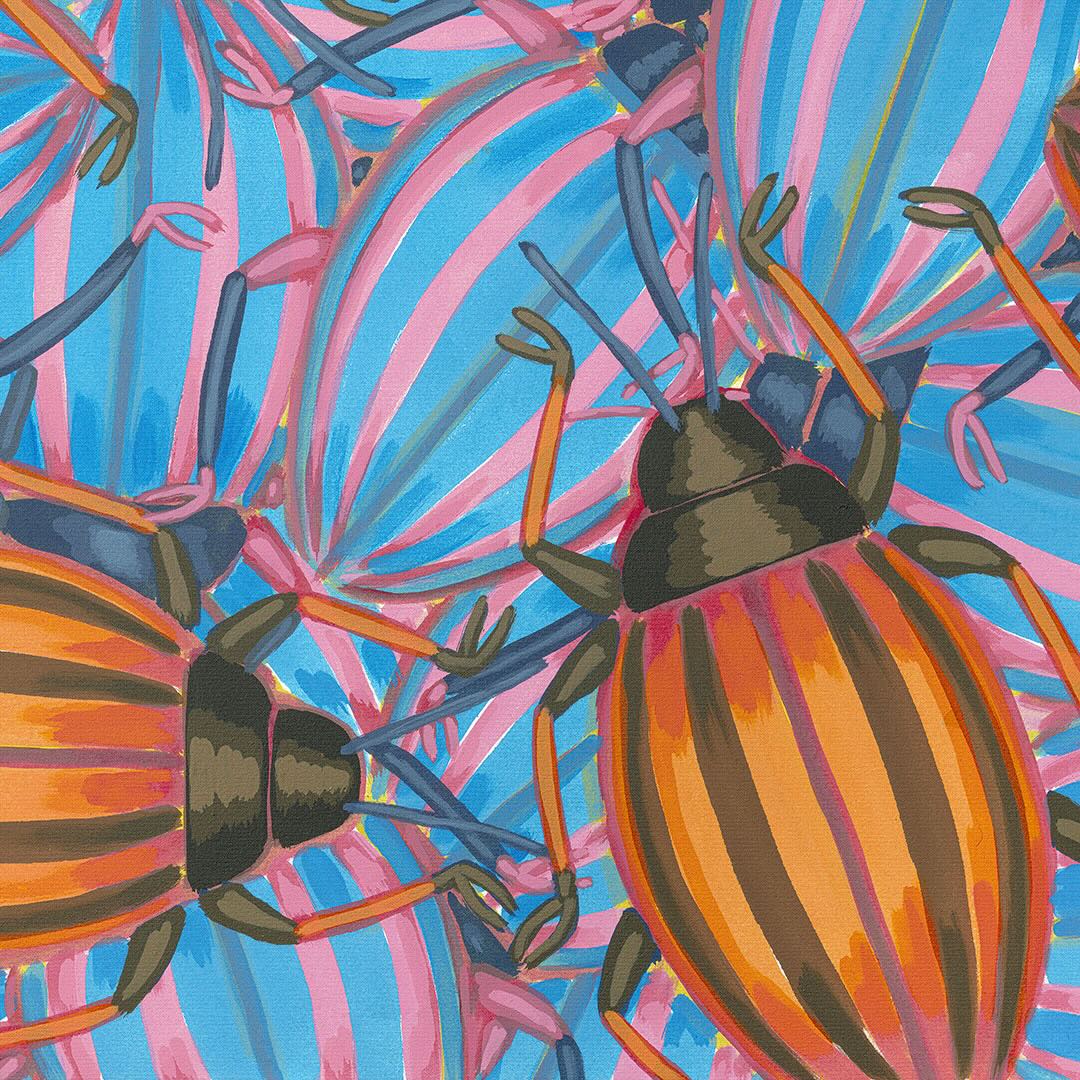Roman Franta | New Bugs - There are many ways