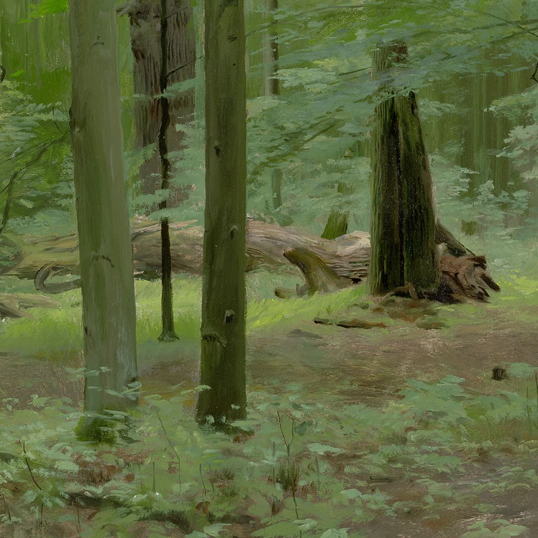 Zdeněk Daněk | Malý okruh II