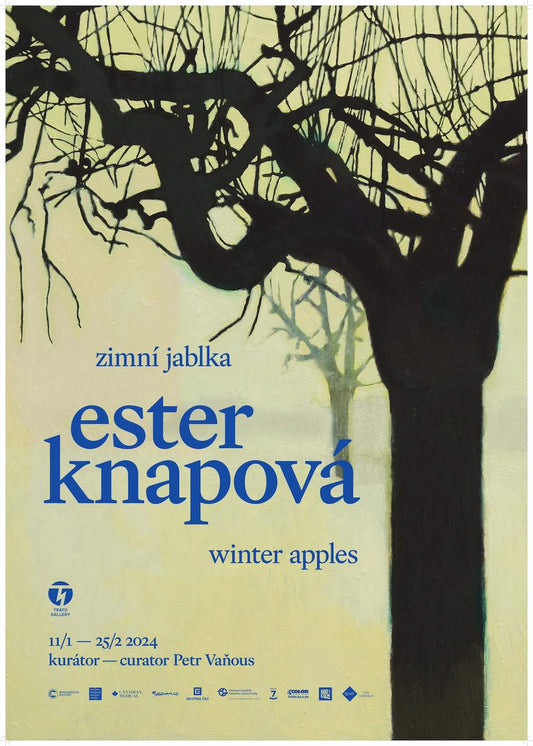 Výstava: Ester Knapová – Zimní jablka