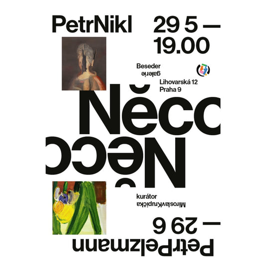 Petr Nikl, Petr Pelzmann / Něco a něco