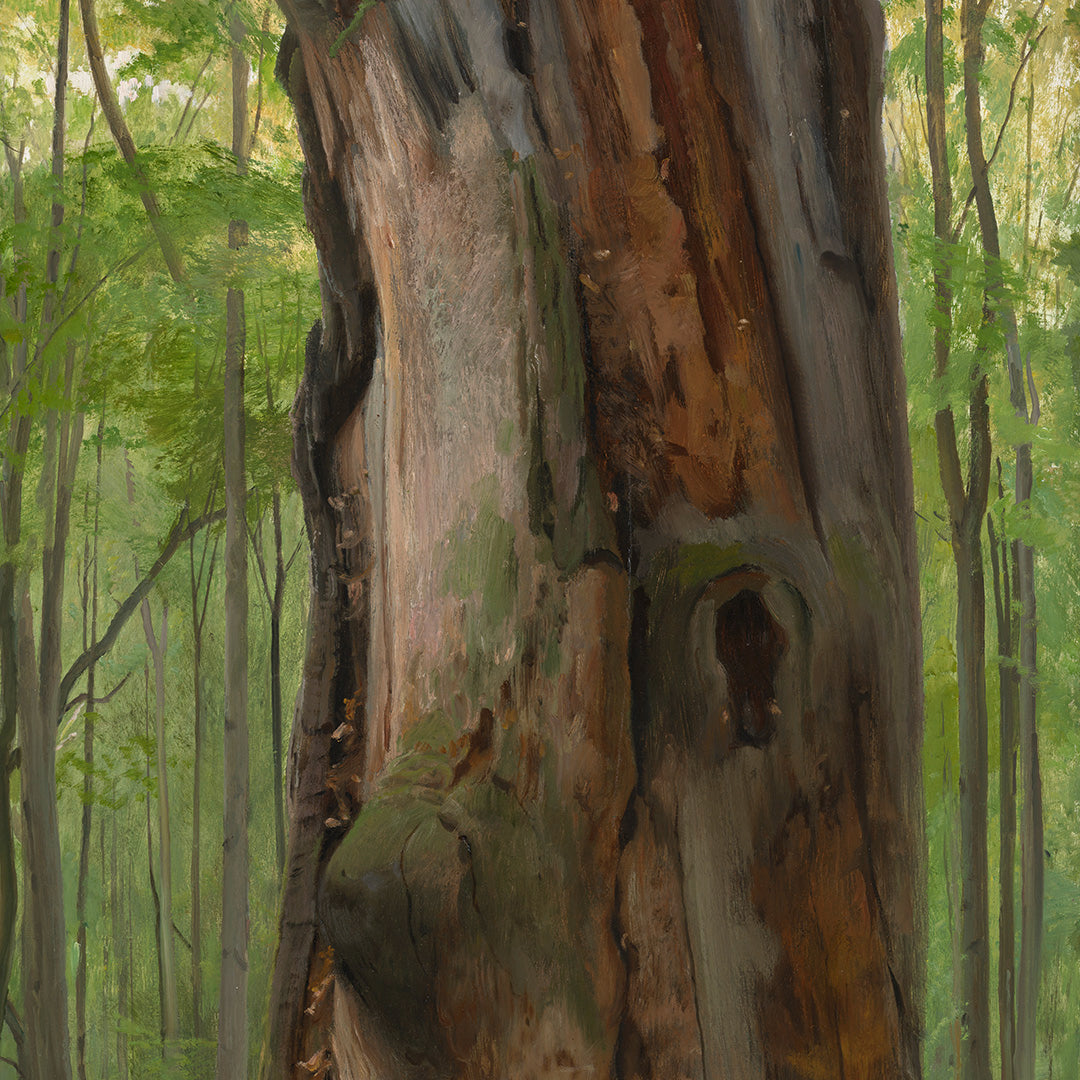 Zdeněk Daněk | Tučný - ORIGINÁL