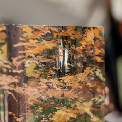 Zdeněk Daněk | Barevná kompozice (Jizerské hory) - ORIGINÁL