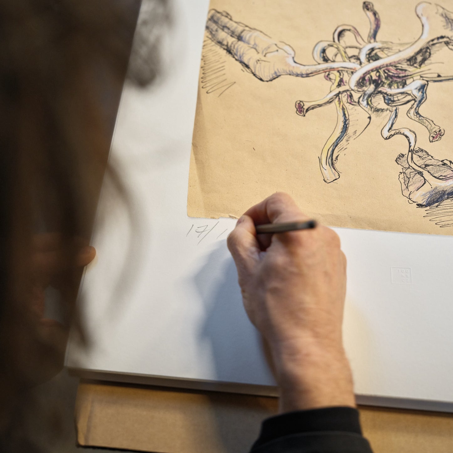 David Černý | Bez názvu II