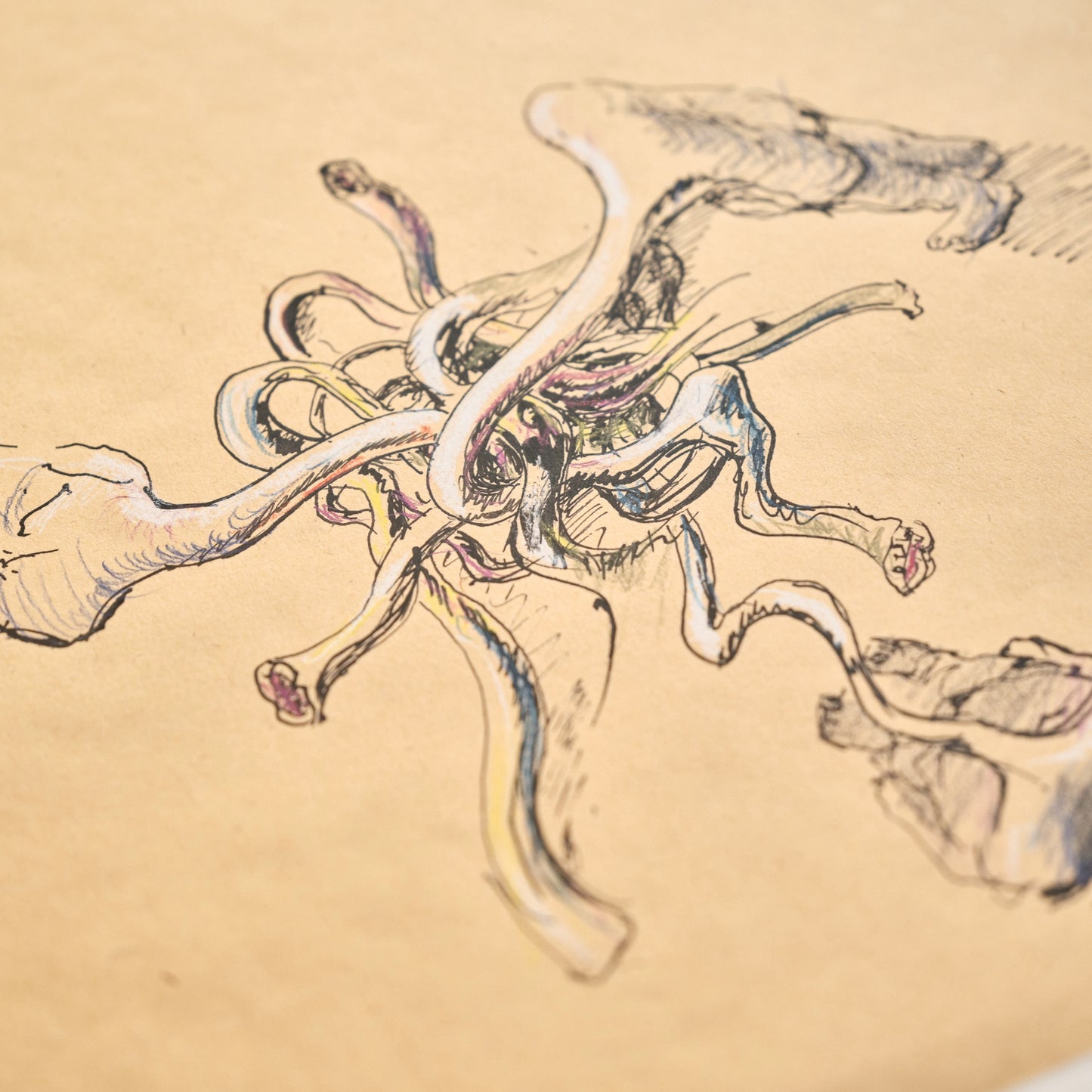 David Černý | Bez názvu II