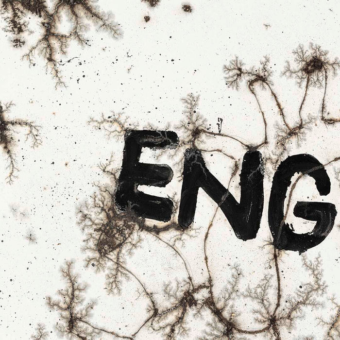 Krištof Kintera | Engine of Life