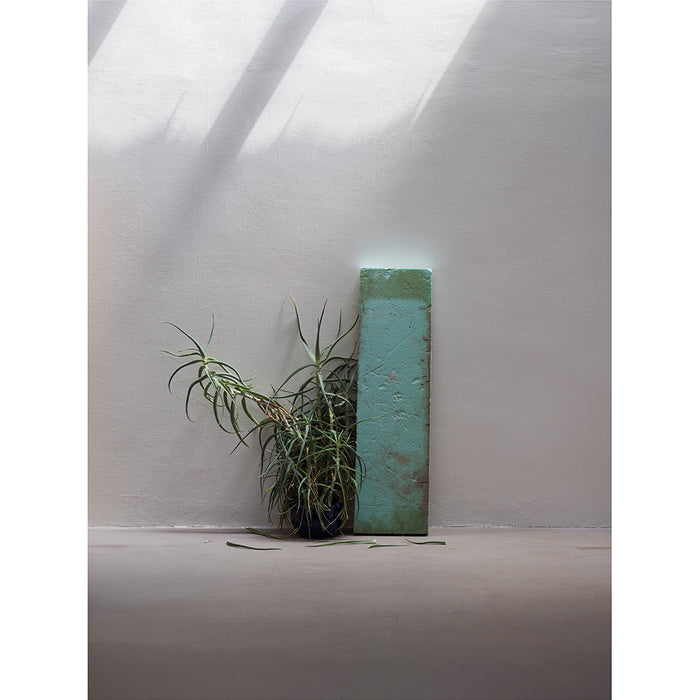 Ivan Pinkava | Aloe