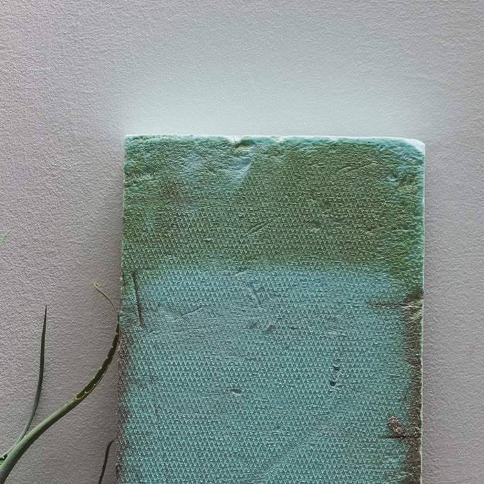Ivan Pinkava | Aloe