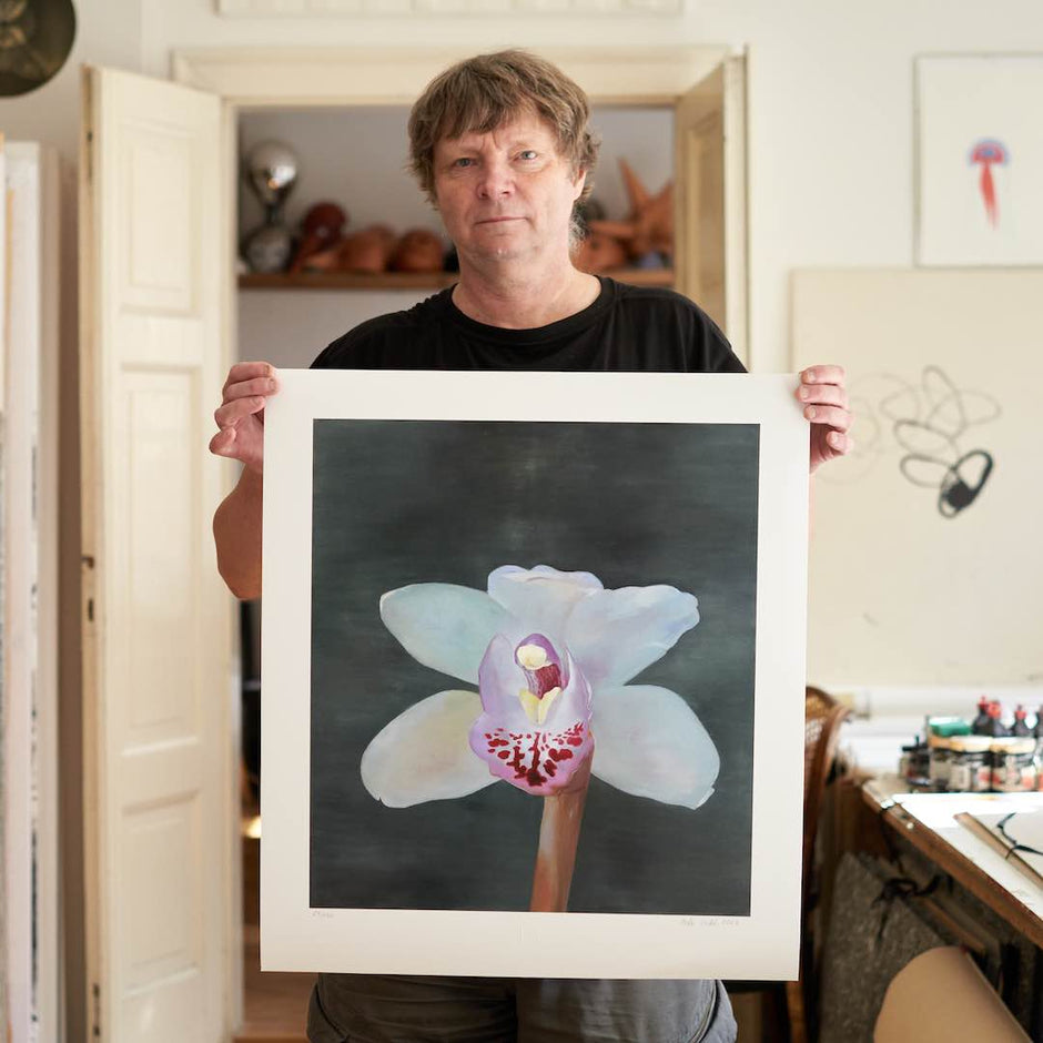Petr Nikl | Orchidej XIII