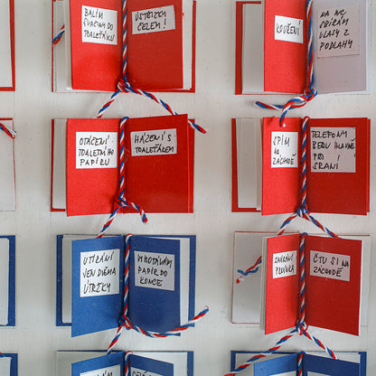 Kateřina Šedá | Češi a záchod (Národní sbírka zlozvyků) - ORIGINÁL