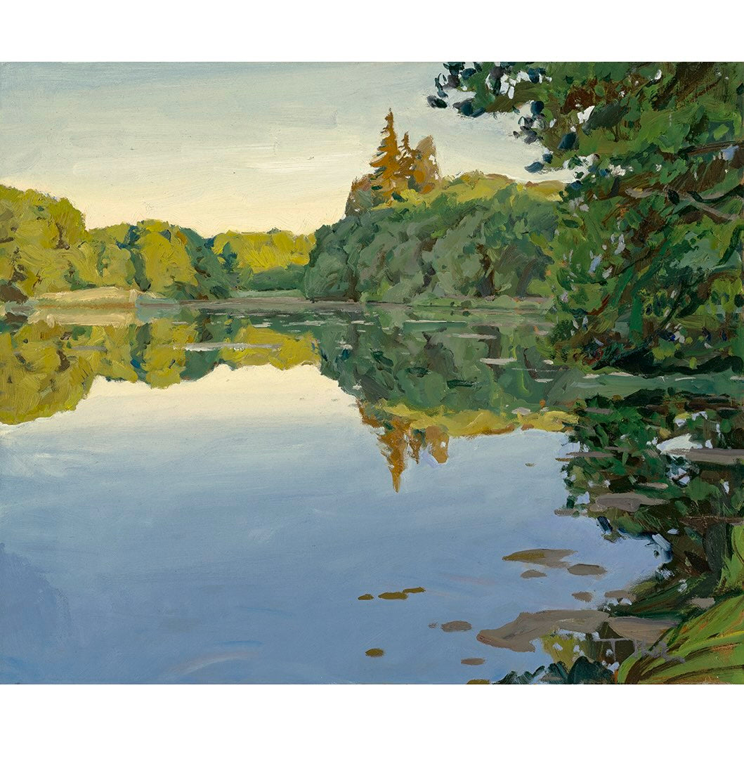 Tomáš Honz | Podvečer nad bahniakom