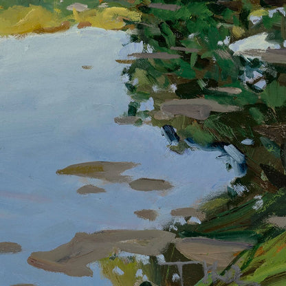 Tomáš Honz | Podvečer nad bahniakom