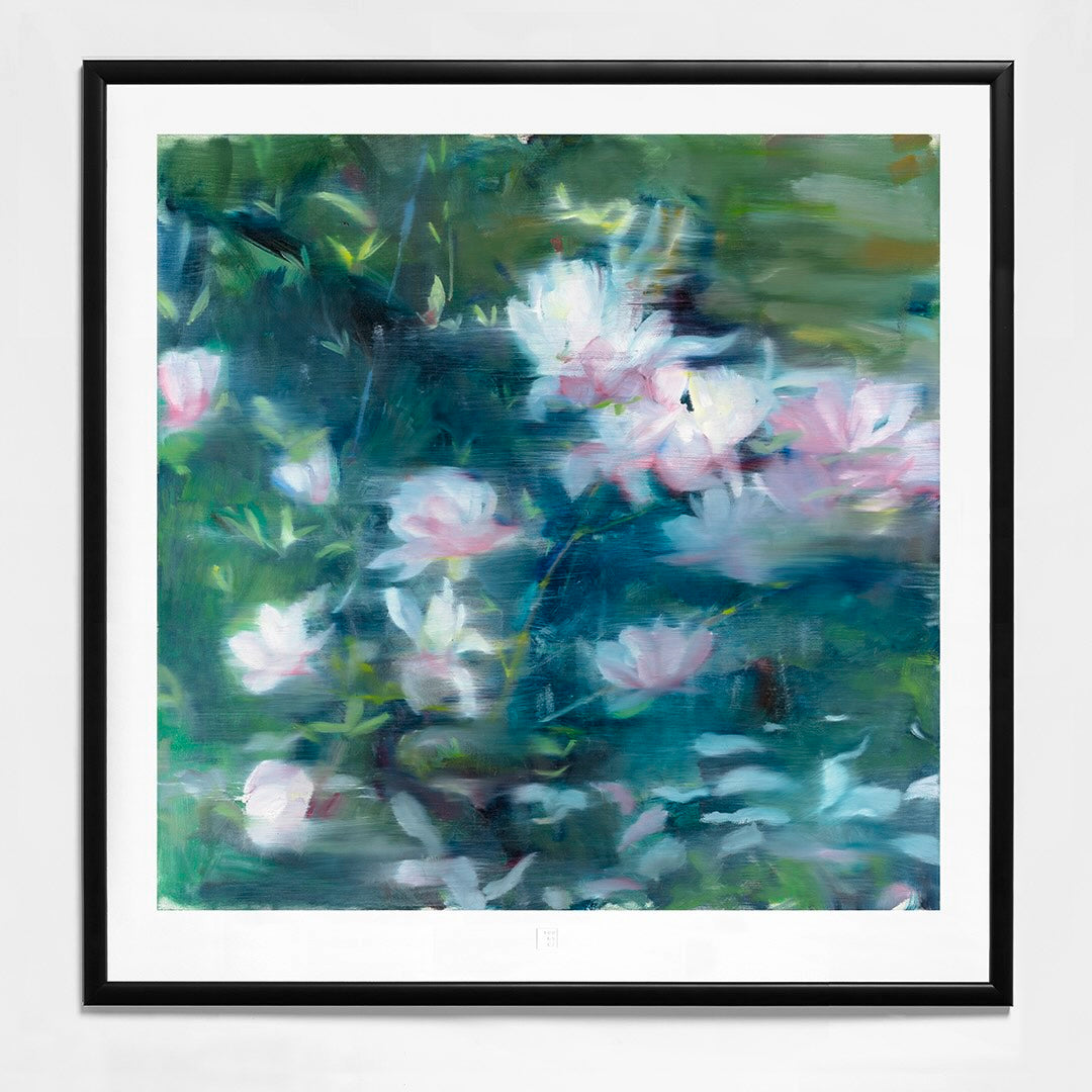 Magnolie
