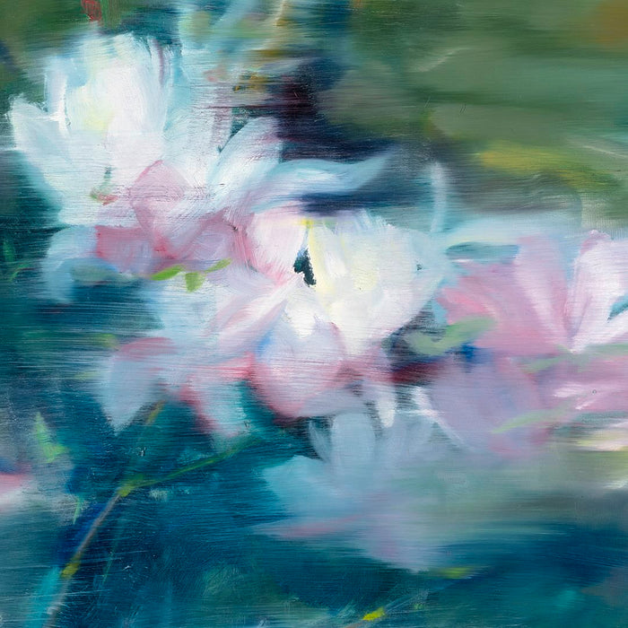 Tomáš Němec | Magnolie