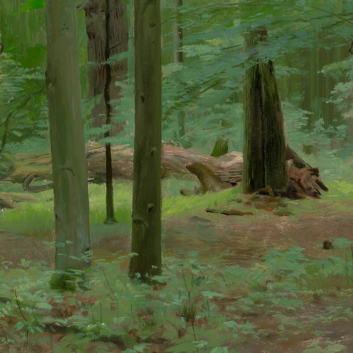 Zdeněk Daněk | Malý okruh II